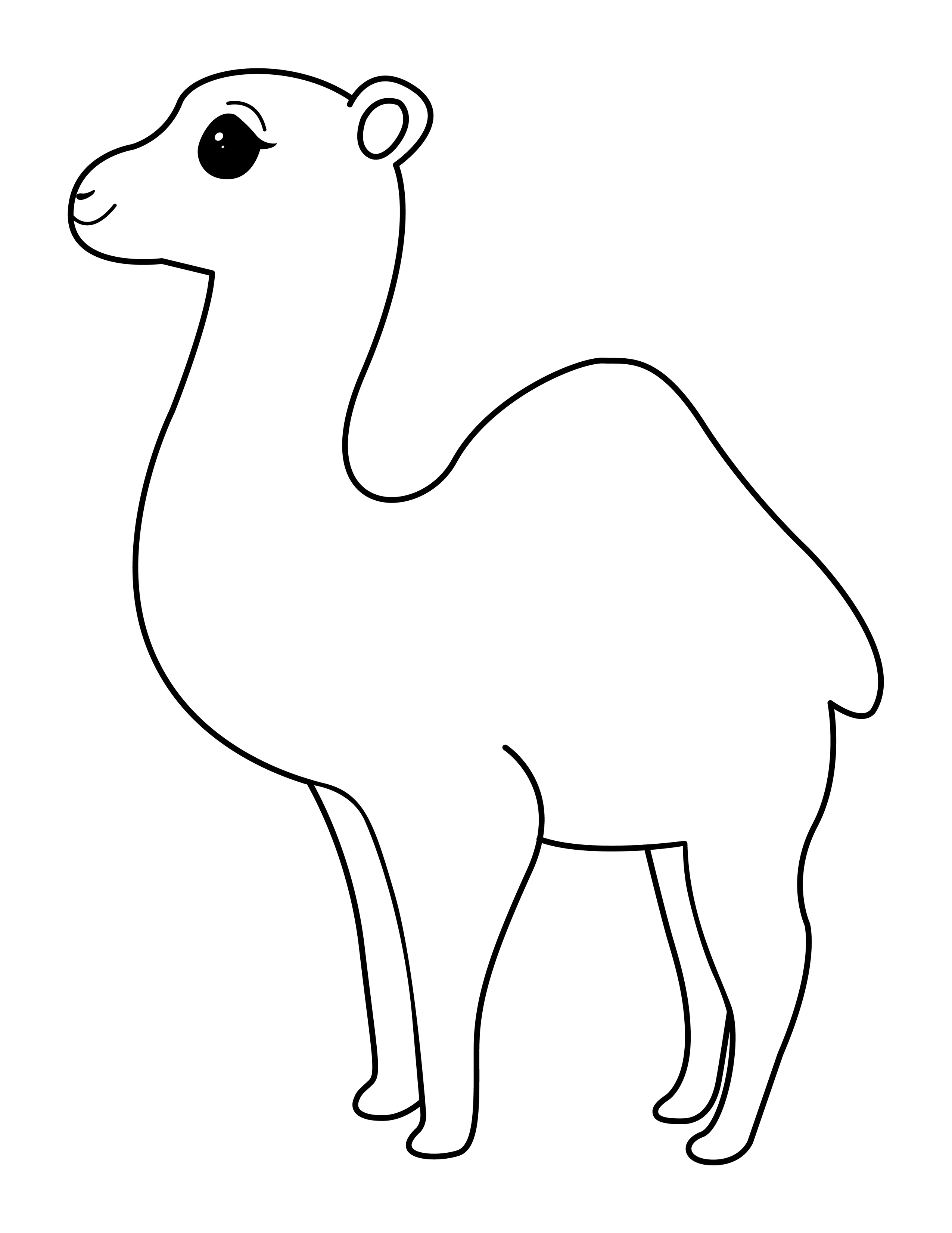 Camel coloring page