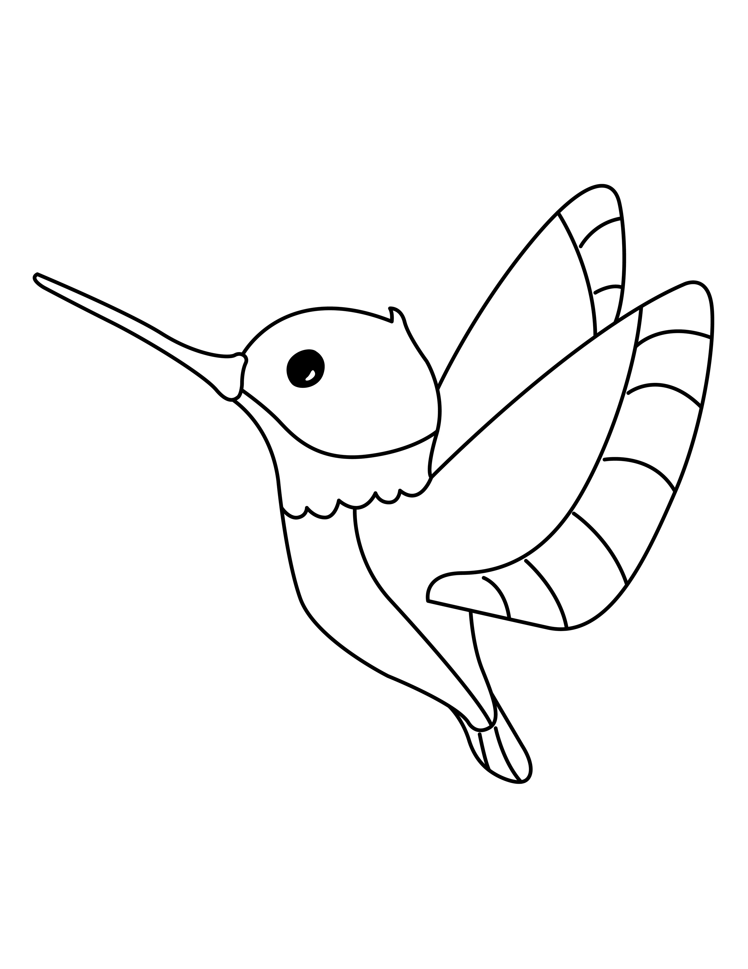 Hummingbird coloring page