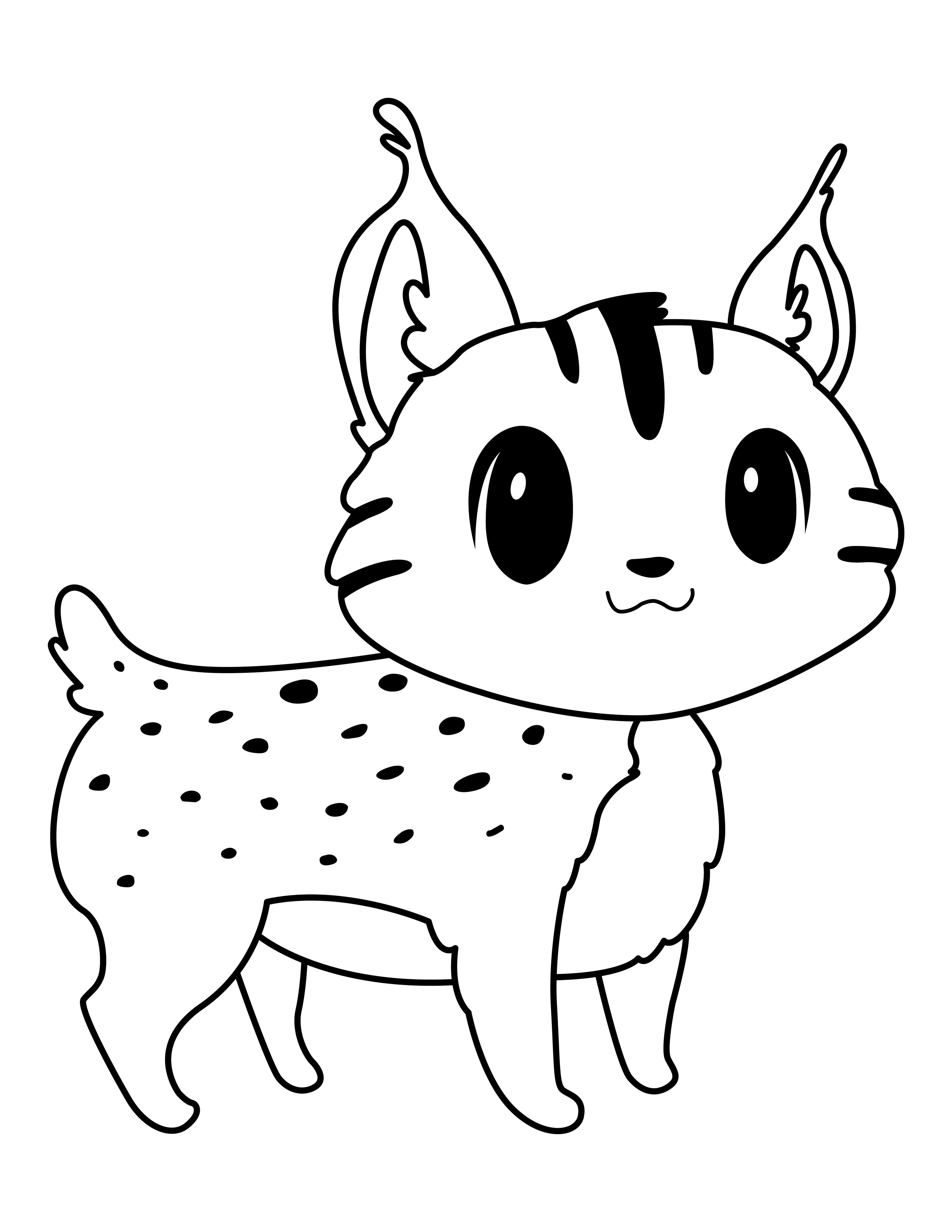 Lynx coloring page