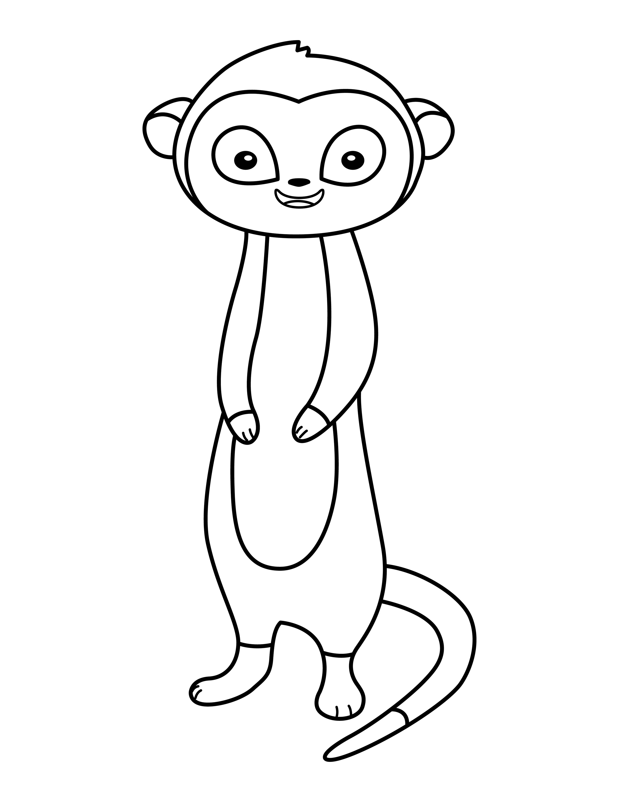 Meerkat coloring page