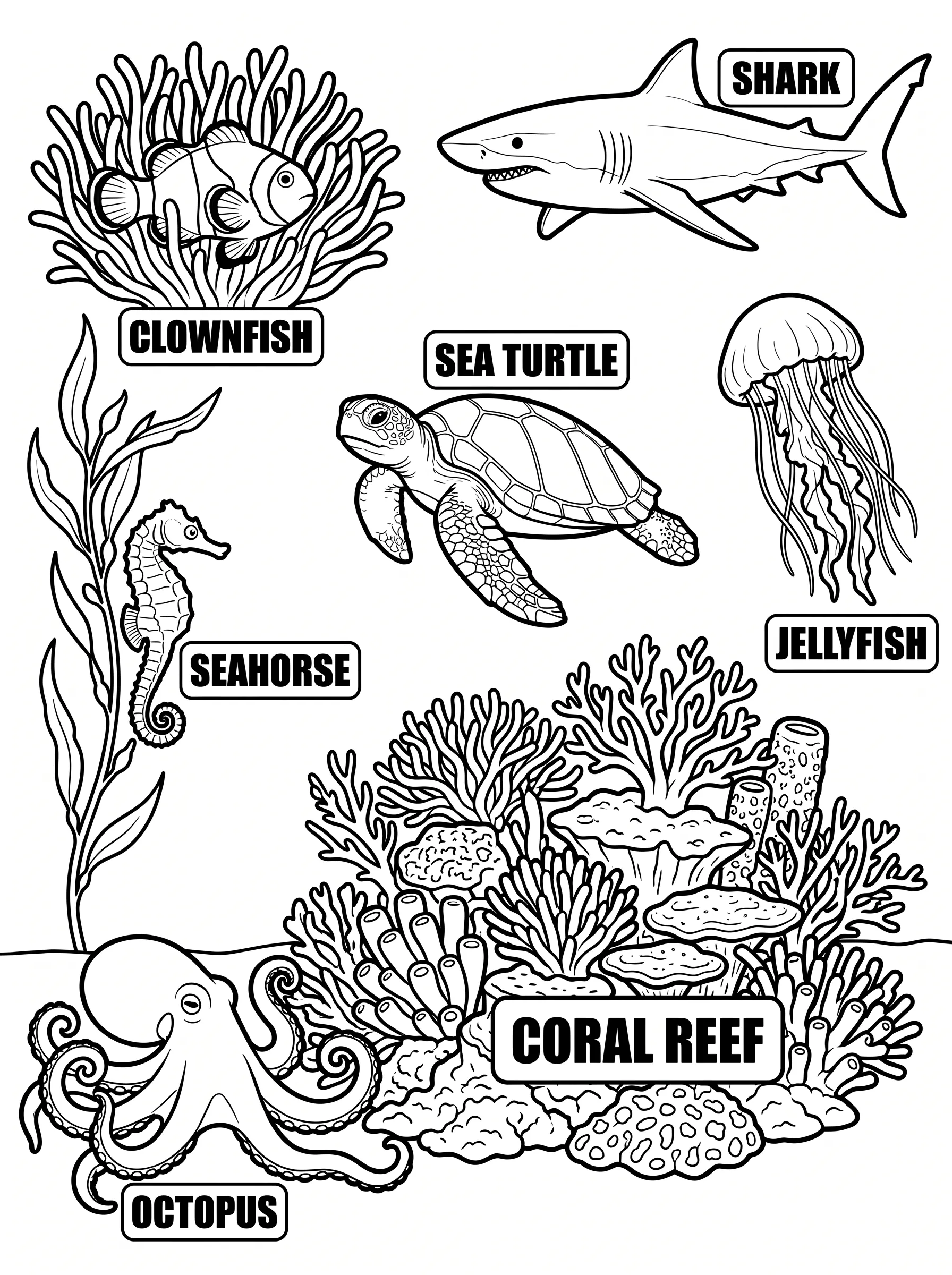 Ocean Life STEM printable