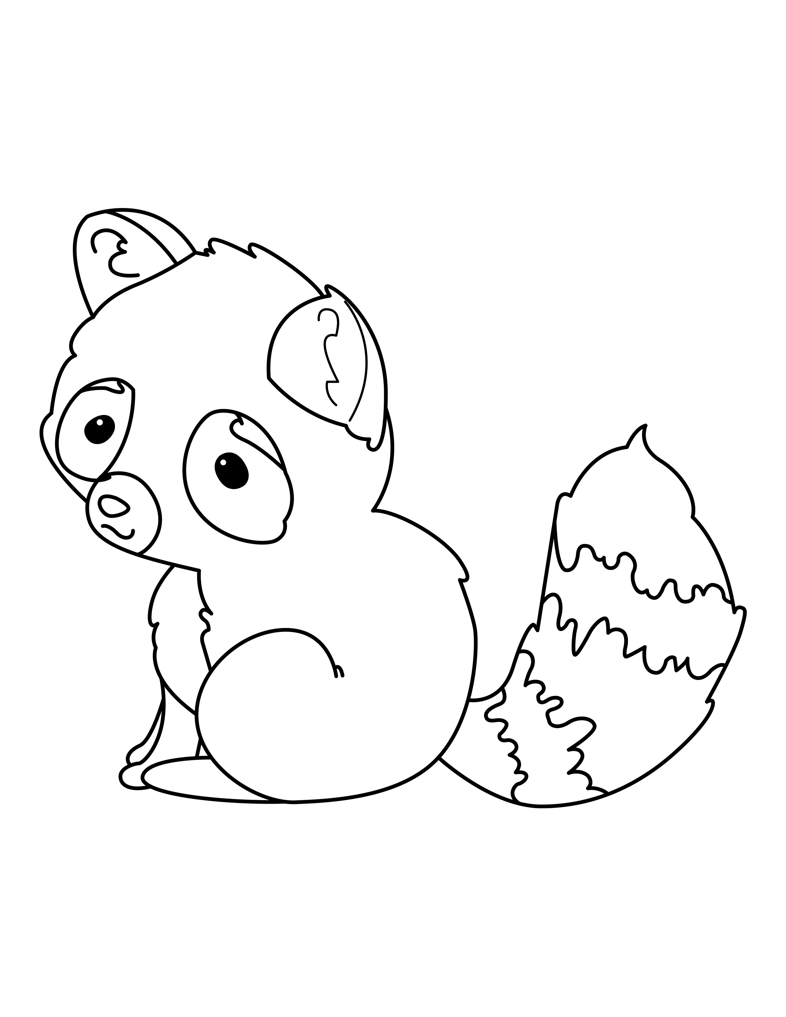 Raccoon coloring page