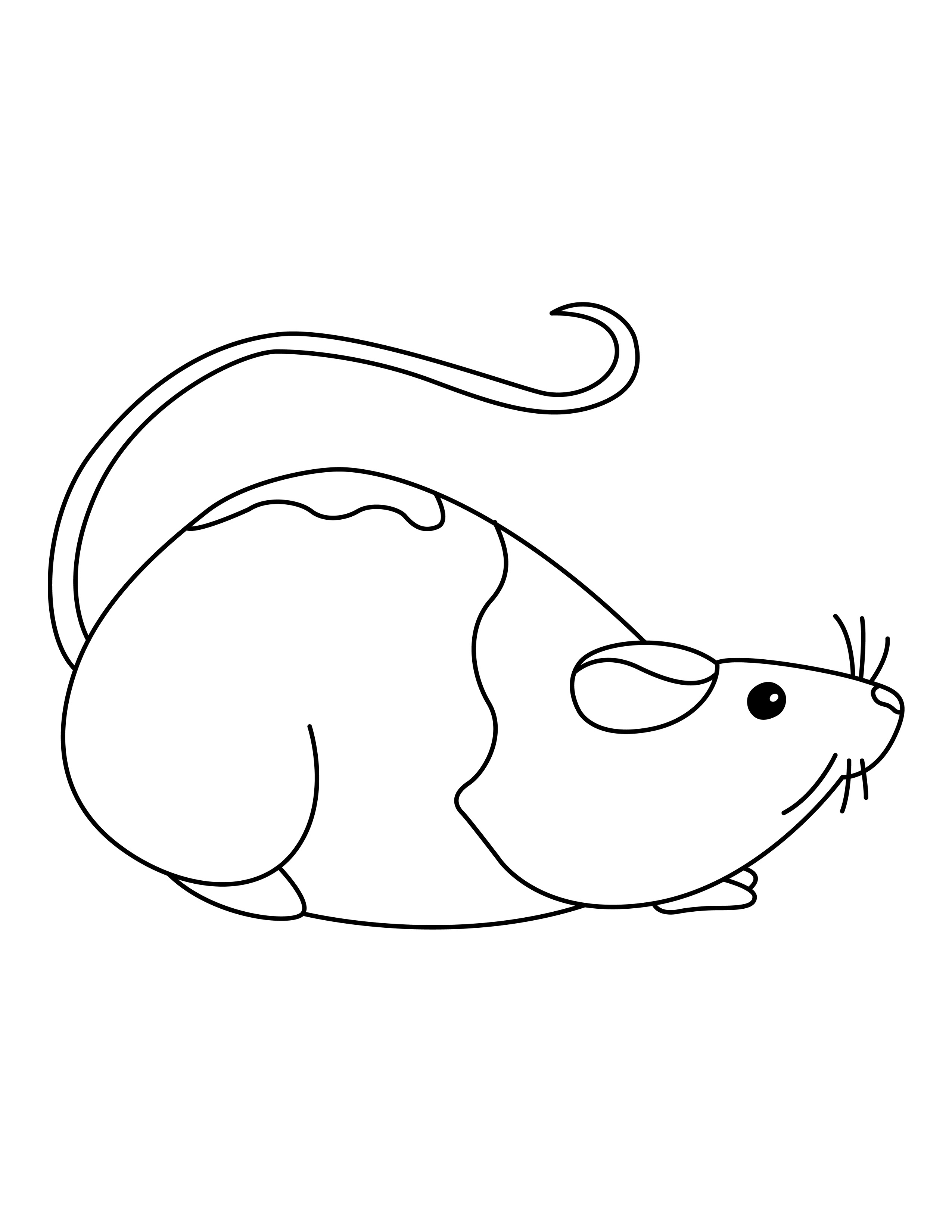 Rat coloring page