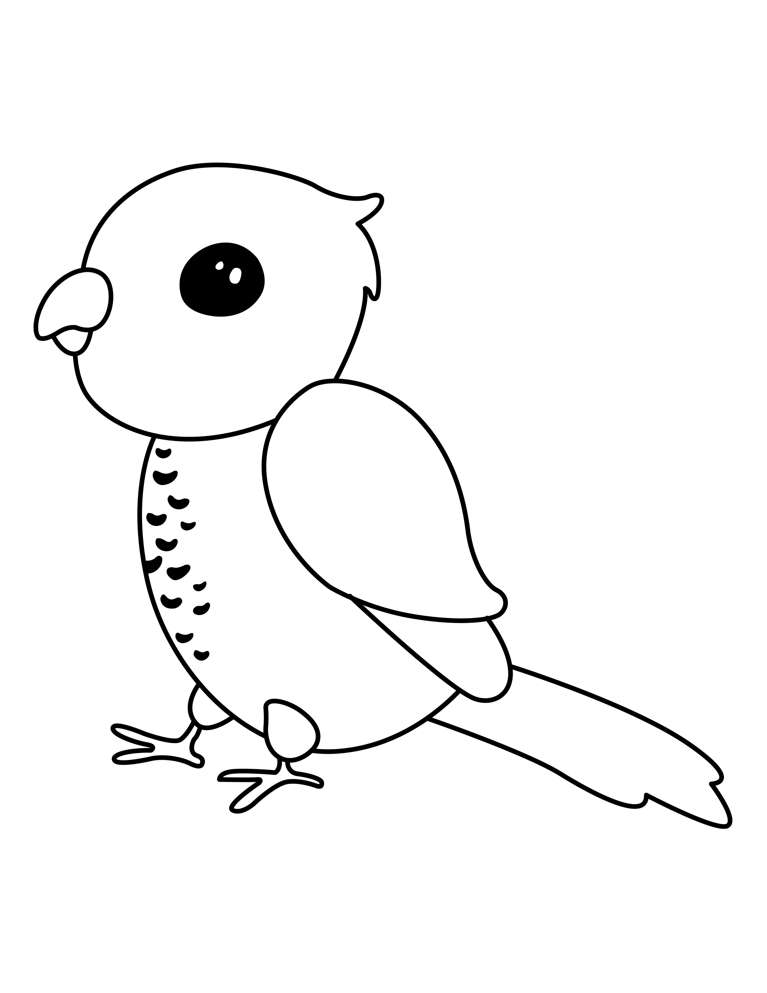 Parrot coloring page