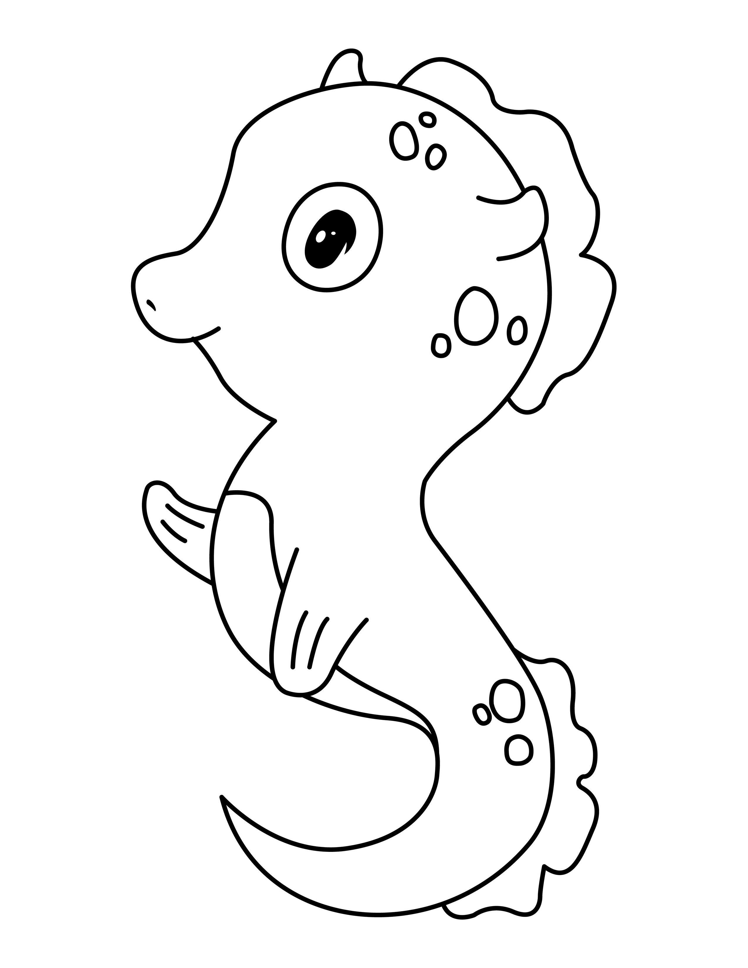 Seahorse coloring page